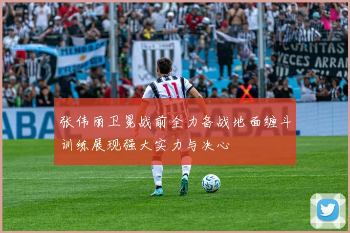 张伟丽卫冕战前全力备战地面缠斗训练展现强大实力与决心