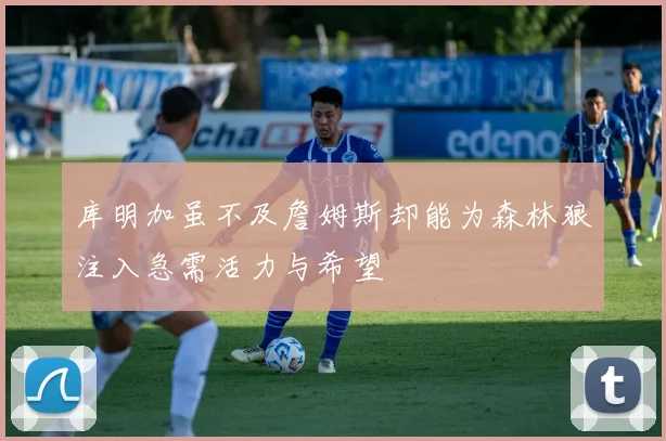库明加虽不及詹姆斯却能为森林狼注入急需活力与希望