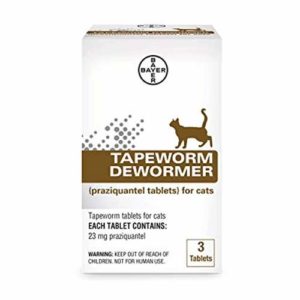 Bayer Tapeworm Dewormer Cat Fleas Infection
