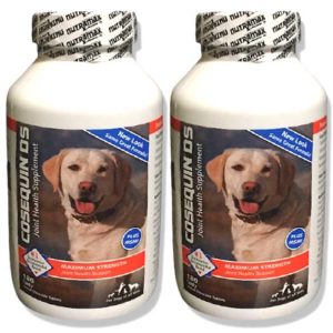 Cosequin DS Plus MSM Joint Health Dog Supplement 2 BOX